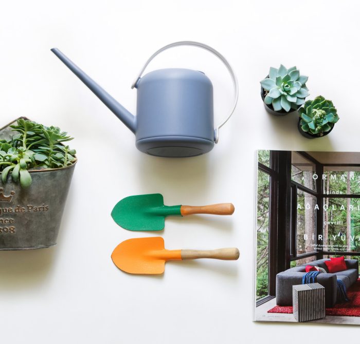 آبپاش ماریو