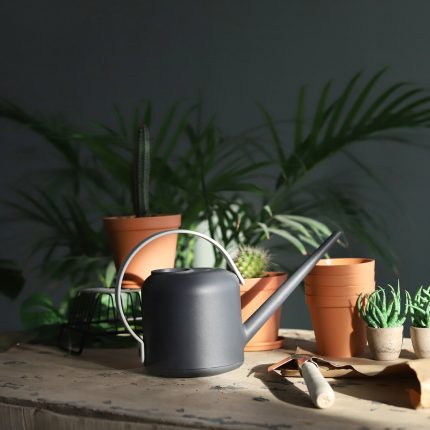 آبپاش ماریو