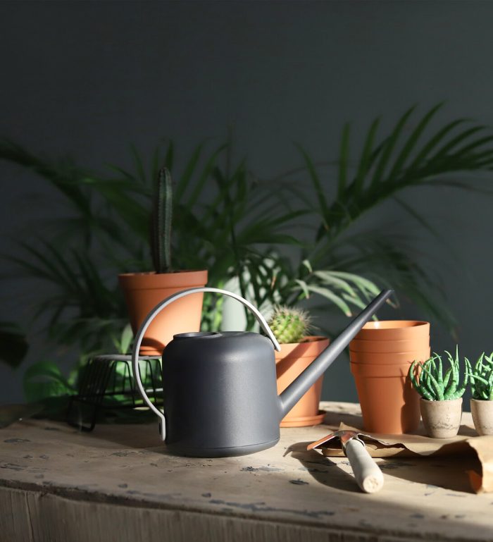 آبپاش ماریو