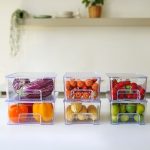 نظم دهنده دربدار درنا