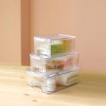 نظم دهنده دربدار هیوا