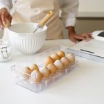 جا تخم مرغ کریستال درنا